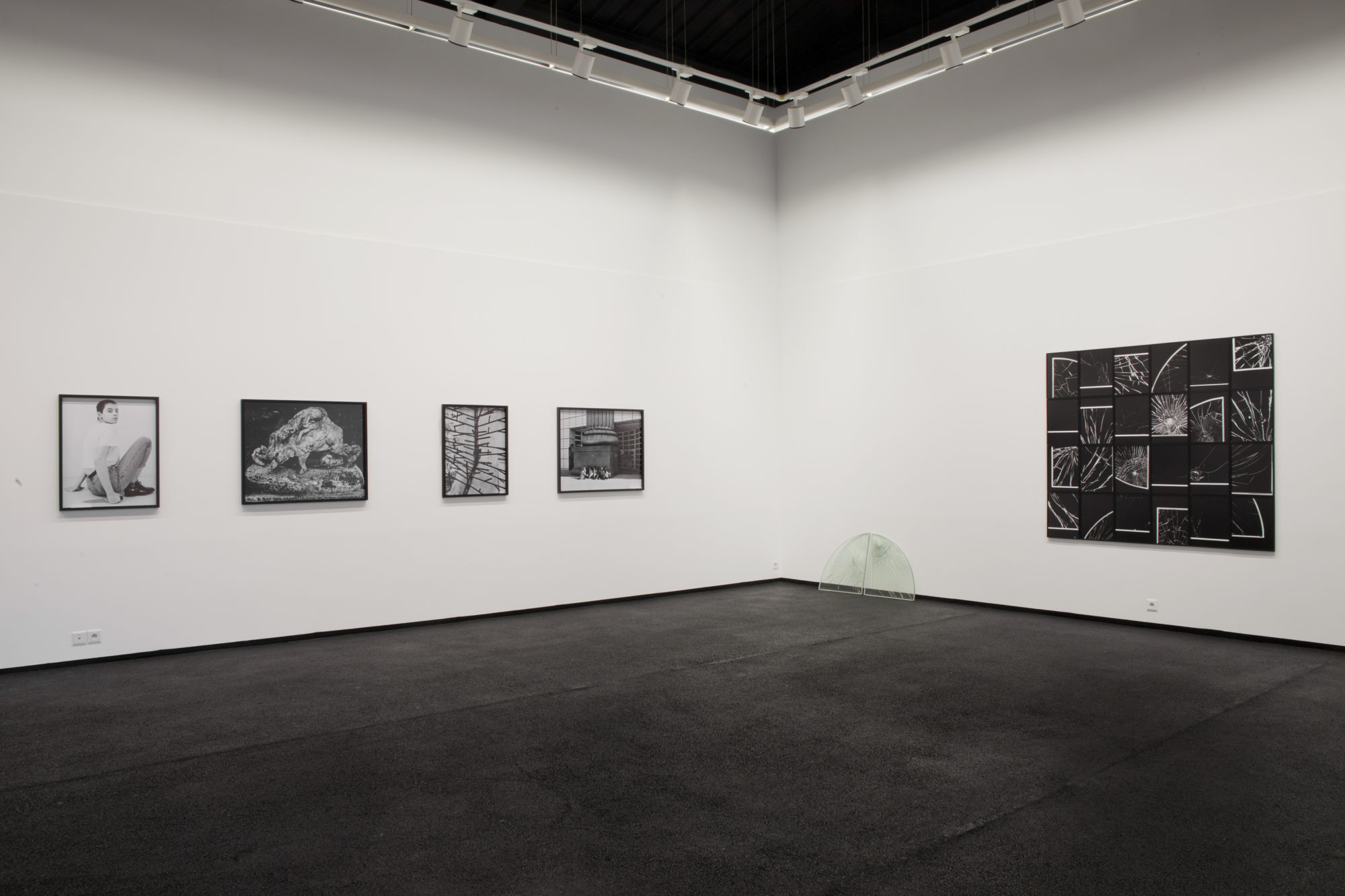 structures_de_l_apparence_11