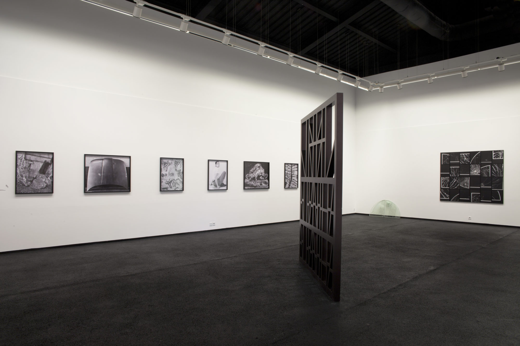 structures_de_l_apparence_12