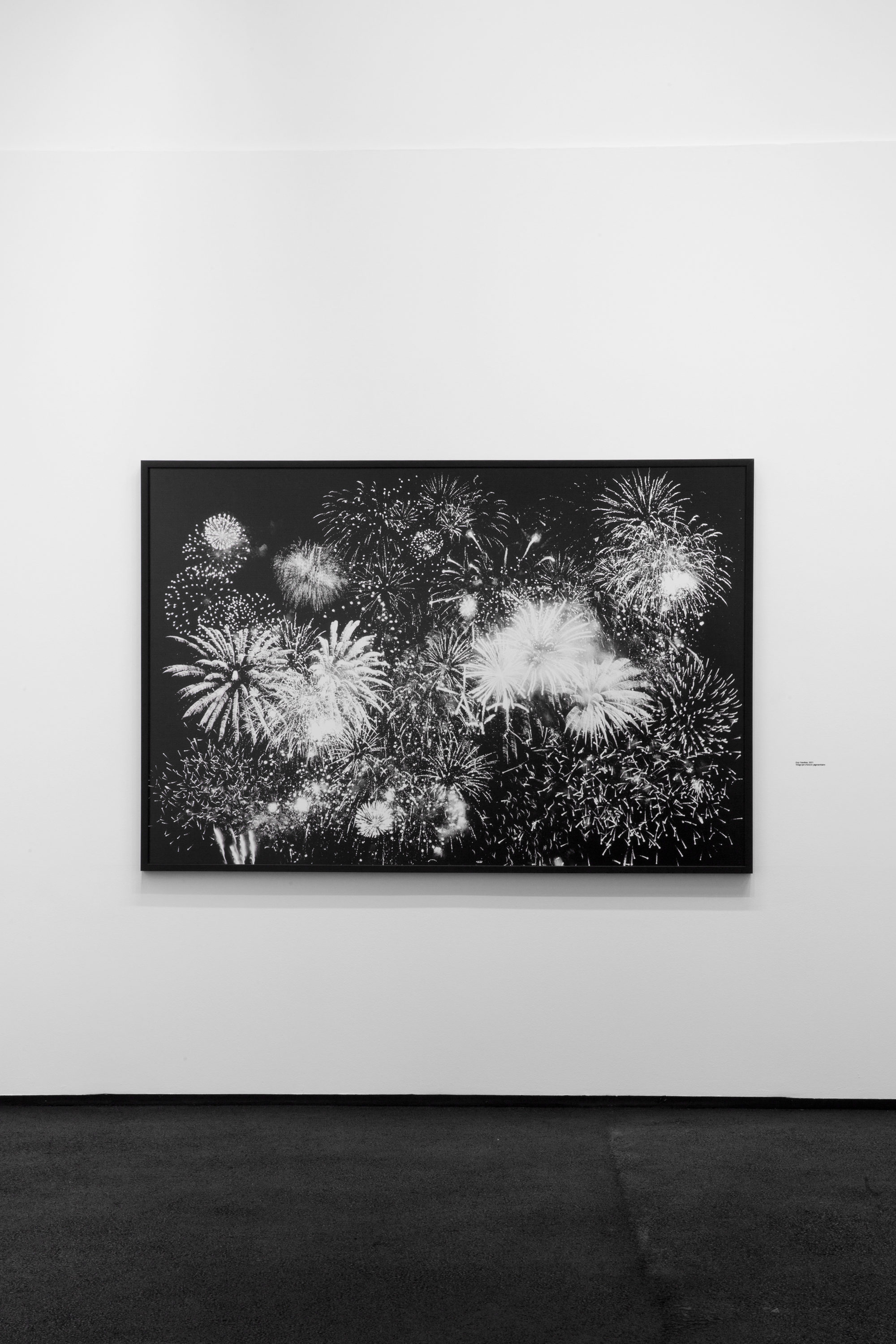 structures_de_l_apparence_15